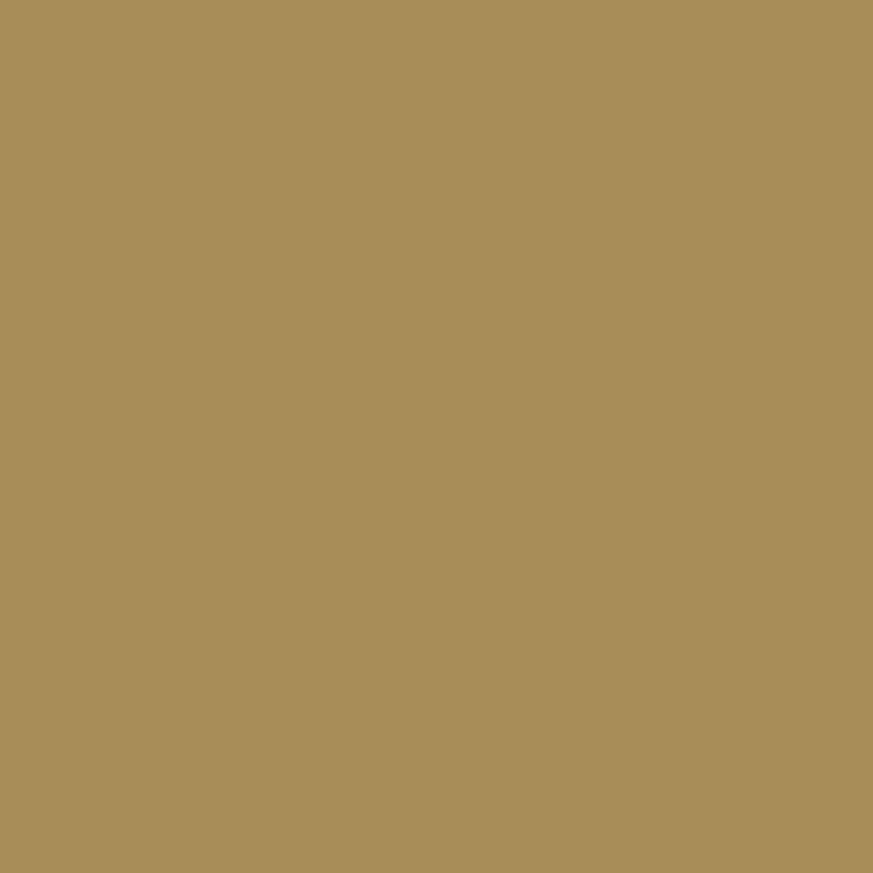 Benjamin Moore Seville Tan
