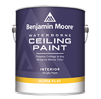 Waterborne Ceiling Paint ***USE AUTO20 FOR 20% OFF ****